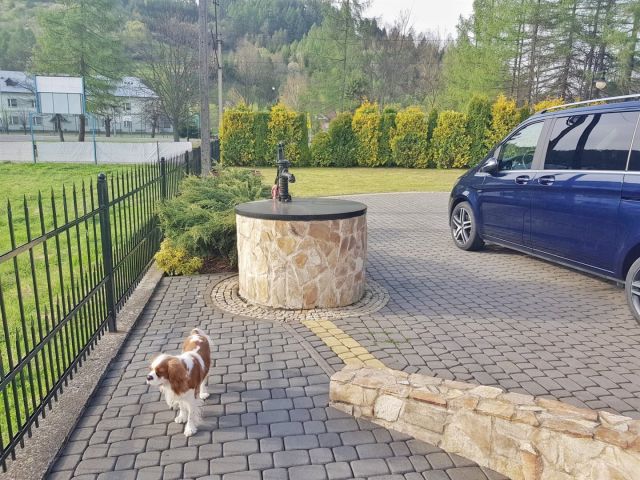 dom wolnostojący, 4 pokoje Muszyna. Zdjęcie 5