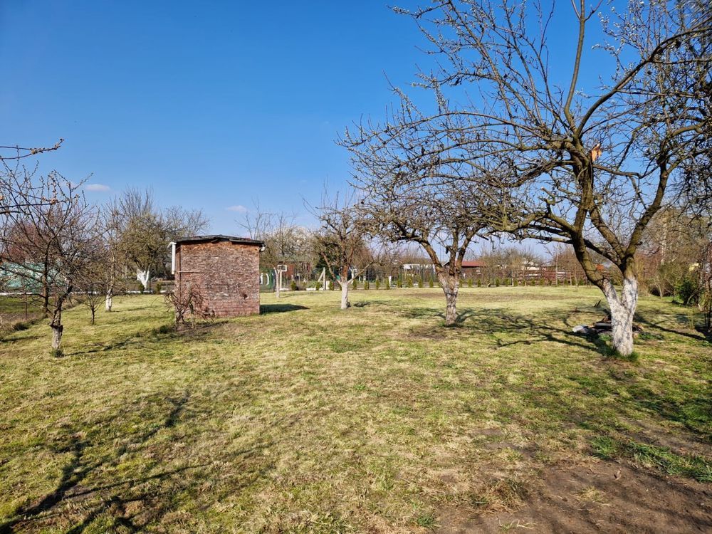 Działka rod Szlichtyngowa, ul. Daszyńskiego. Zdjęcie 8