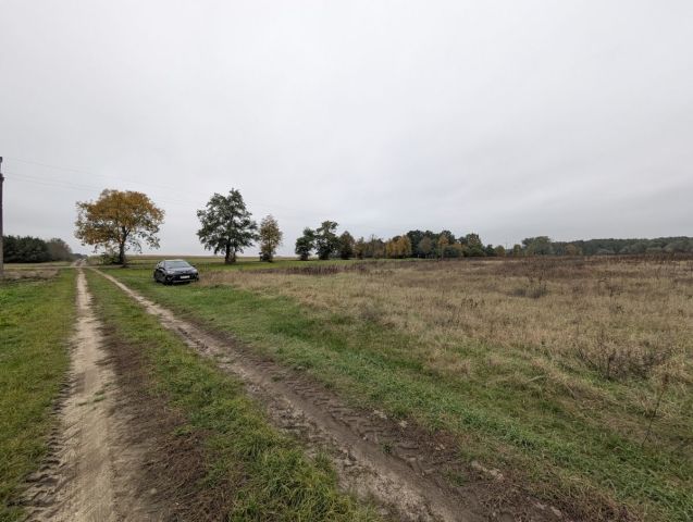 Działka rolna Turza Wielka. Zdjęcie 2
