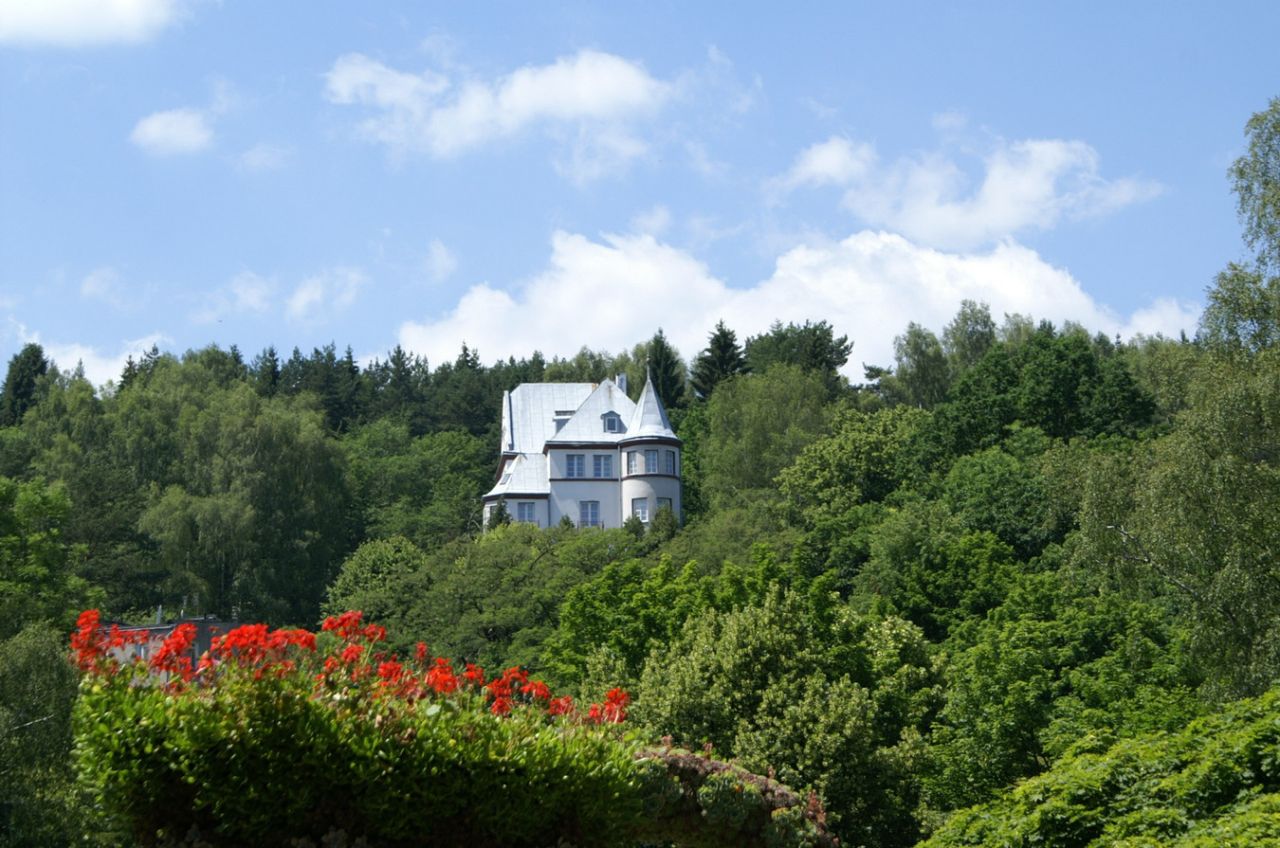 Hotel/pensjonat Krynica-Zdrój, ul. Piękna. Zdjęcie 6