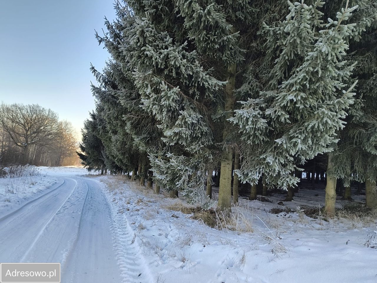 Działka rolna Świdnik. Zdjęcie 6