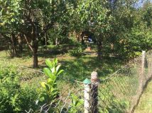 Działka rod Komorów. Zdjęcie 1