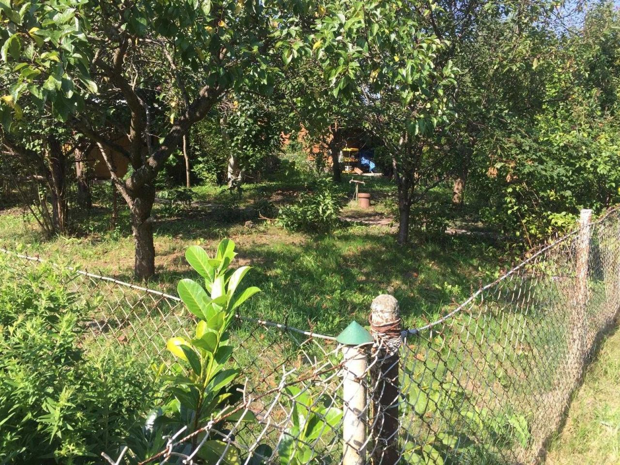 Działka rod Komorów. Zdjęcie 2