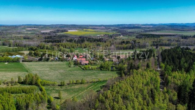 dom wolnostojący, 9 pokoi Kwieciszowice. Zdjęcie 3