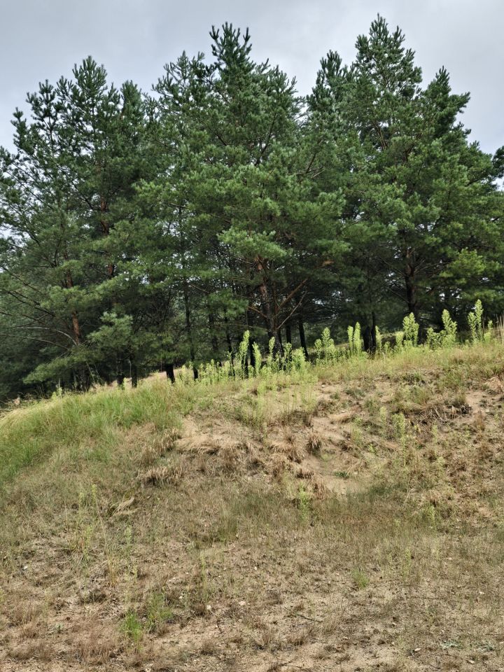 Działka budowlana Rolbik. Zdjęcie 11