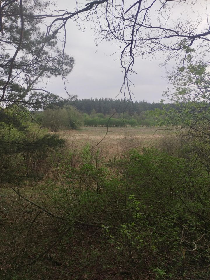 Działka inna Biała. Zdjęcie 3