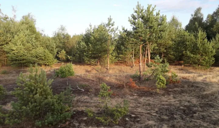 Działka budowlana Pupkowizna