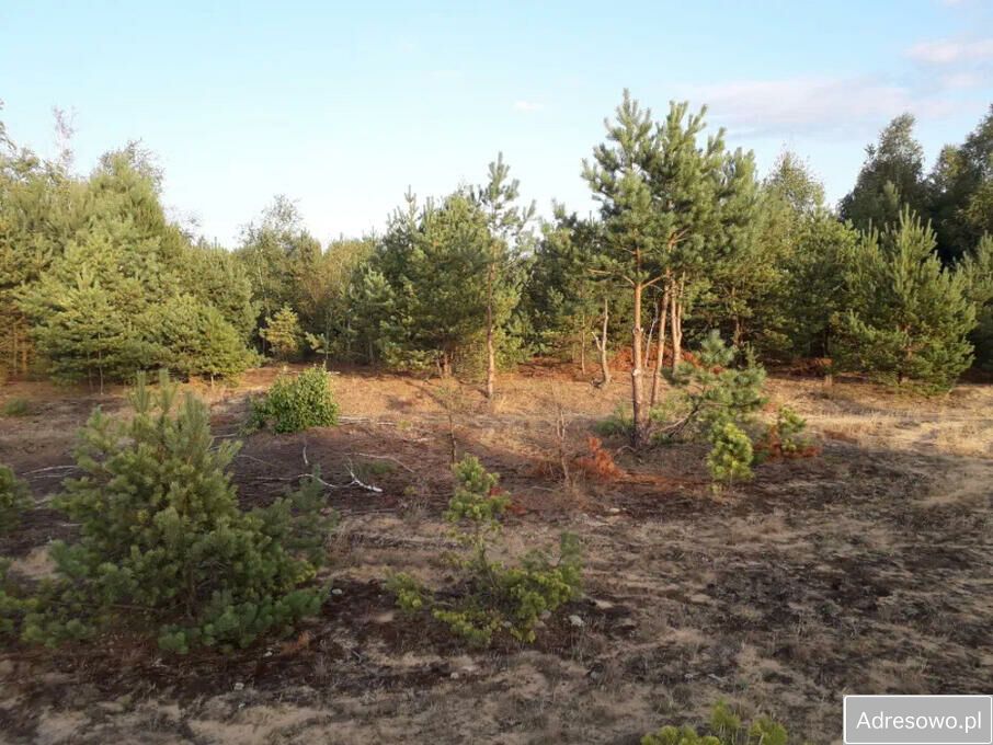 Działka budowlana Pupkowizna