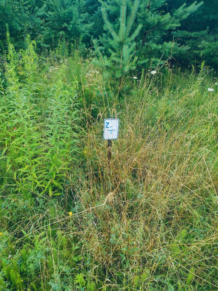 Działka rekreacyjna Trelkowo. Zdjęcie 6