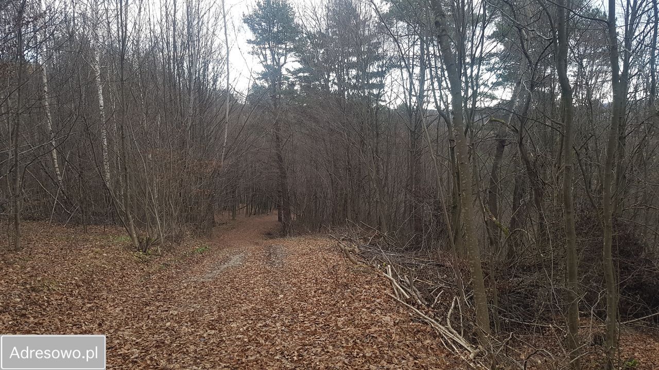 Działka inwestycyjna Bóbrka. Zdjęcie 19