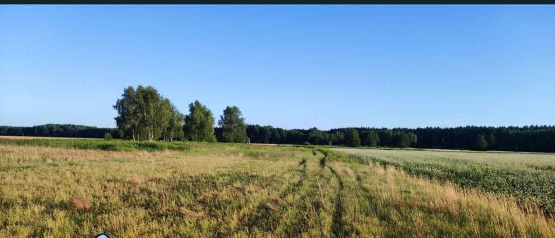 Działka rolna Kuźniczysko, Brak. Zdjęcie 6