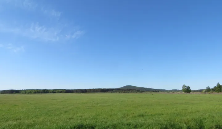 Działka siedliskowa Smołdziński Las