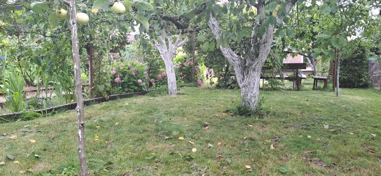 Działka rod Częstochowa Błeszno. Zdjęcie 5