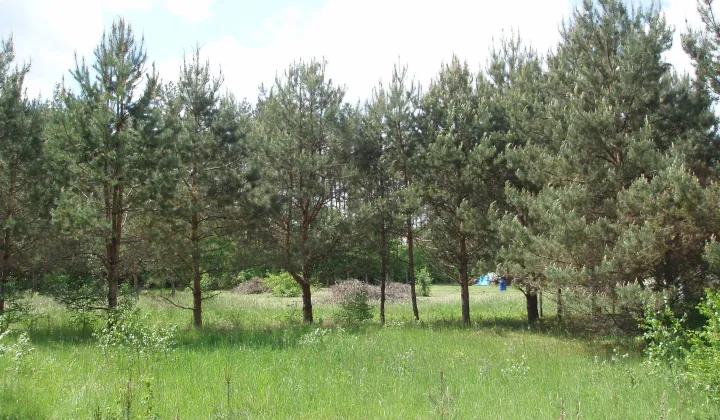 Działka budowlana Natać Wielka