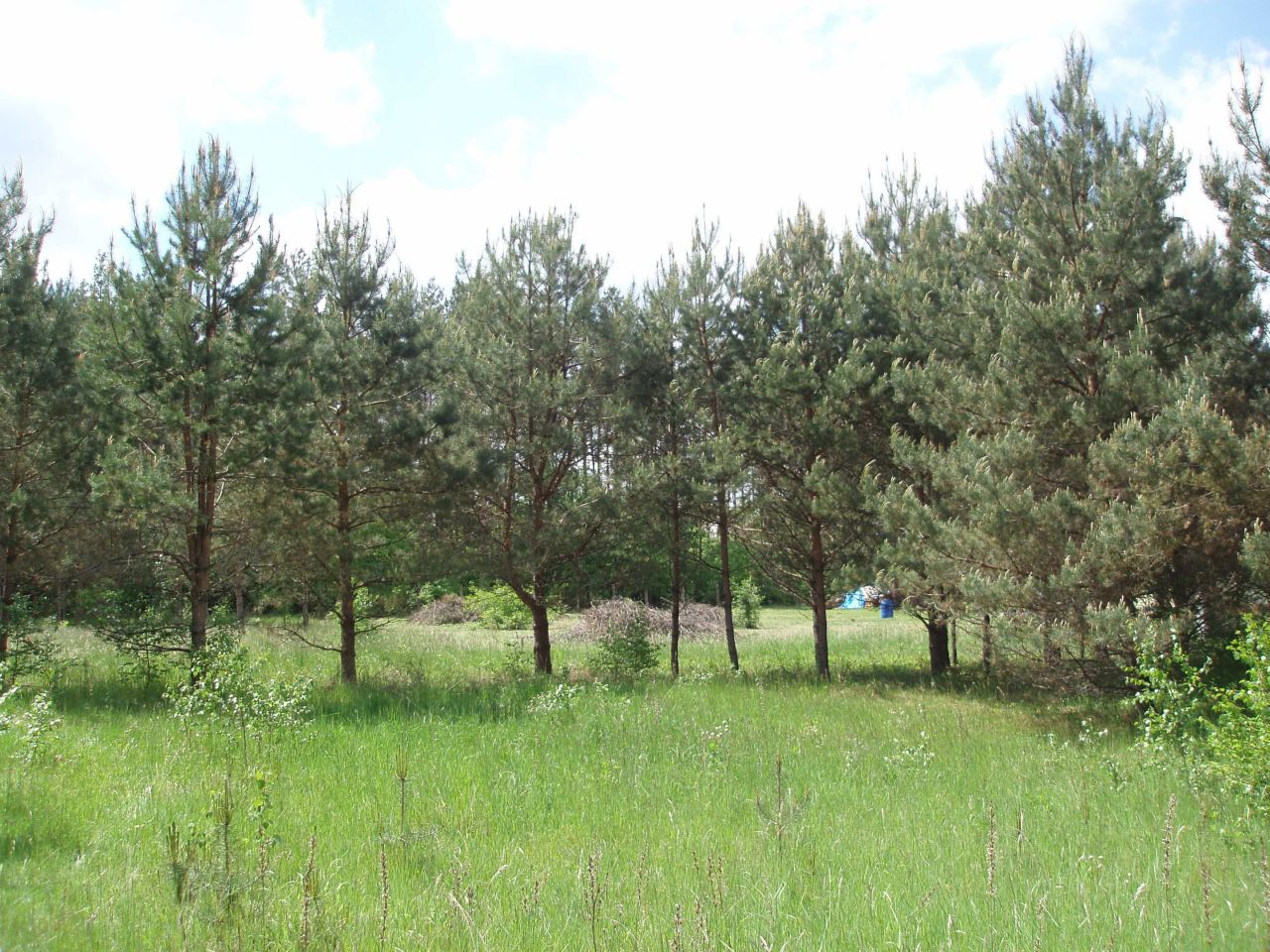 Działka budowlana Natać Wielka. Zdjęcie 1