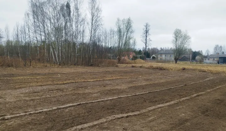 Działka rolno-budowlana Dąbrowica