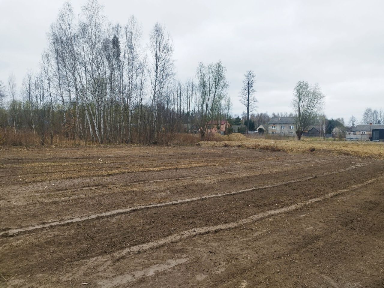 Działka rolno-budowlana Dąbrowica. Zdjęcie 1