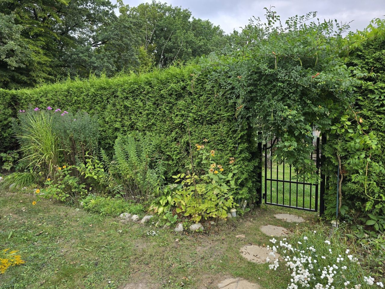 Działka rod Lublin Węglinek. Zdjęcie 3