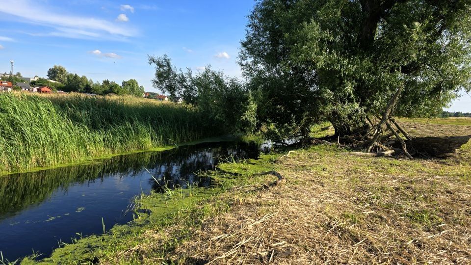 Działka rekreacyjna Iława, ul. Lipowy Dwór. Zdjęcie 6