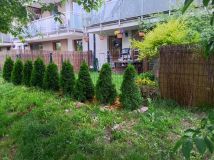Mieszkanie 2-pokojowe Łódź Widzew, ul. Listopadowa. Zdjęcie 2