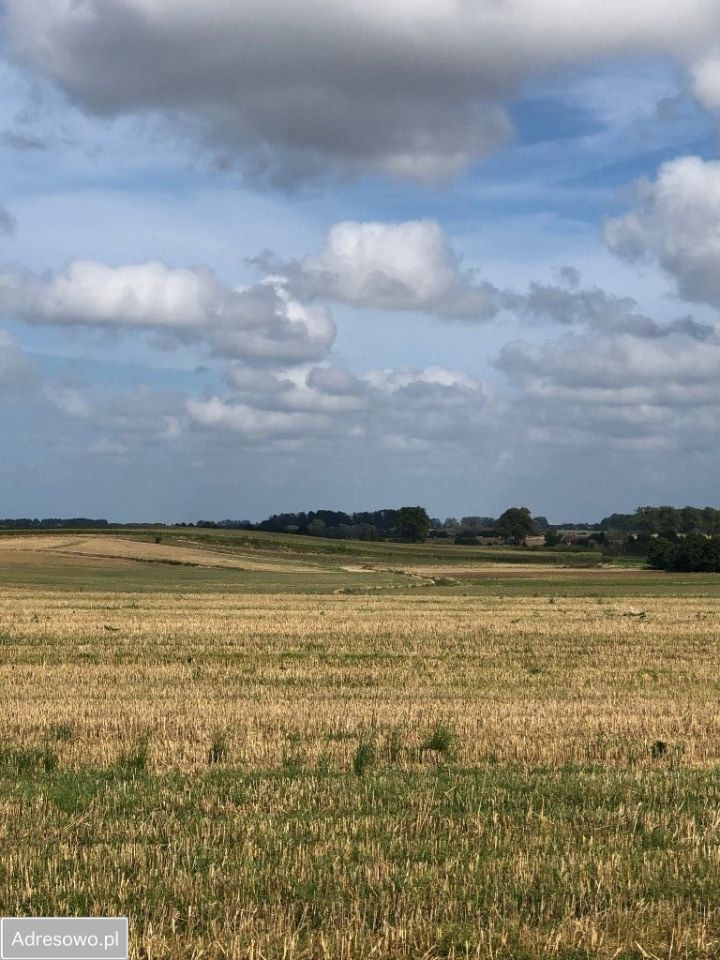 Działka budowlana Łekno. Zdjęcie 6