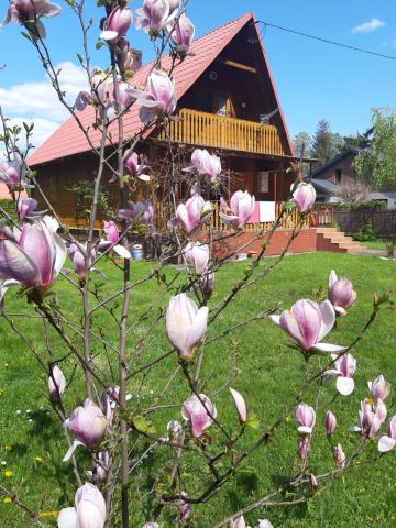 Działka rekreacyjna Wierzbica, ul. Przydatek. Zdjęcie 1