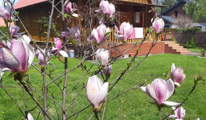 Działka rekreacyjna Wierzbica, ul. Przydatek