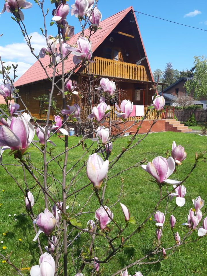Działka rekreacyjna Wierzbica, ul. Przydatek