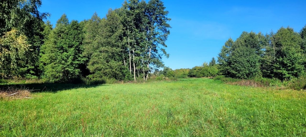 gospodarstwo Głowaczów, ul. Stromiecka. Zdjęcie 12