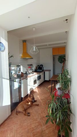 Mieszkanie 2-pokojowe Wrocław Tarnogaj, ul. Tarnogajska. Zdjęcie 1