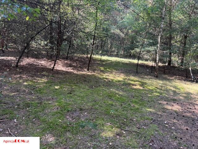 Działka budowlana Siestrzeń. Zdjęcie 3