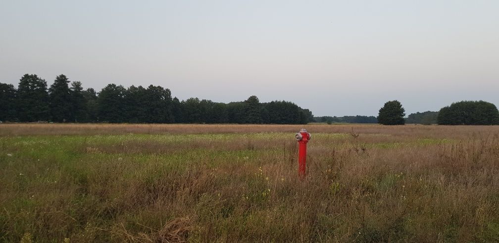 Działka budowlana Skwierzyna, ul. Ceglana Góra. Zdjęcie 2
