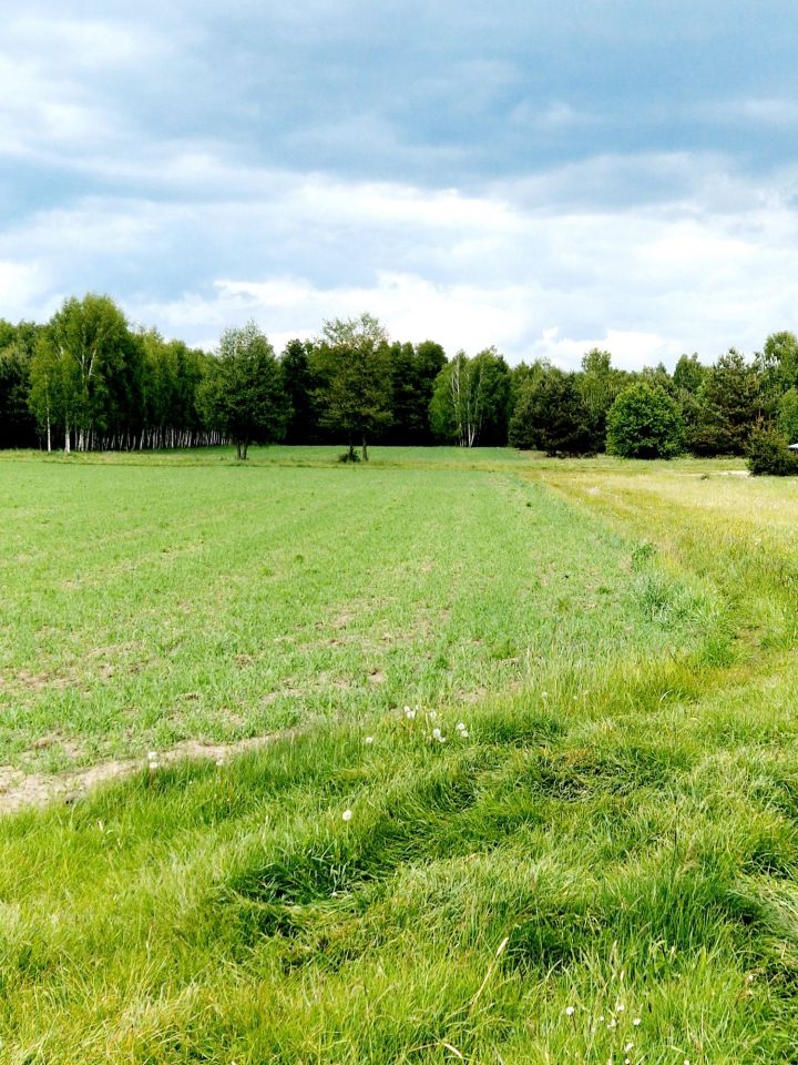 dom wolnostojący Zagrodniki. Zdjęcie 3