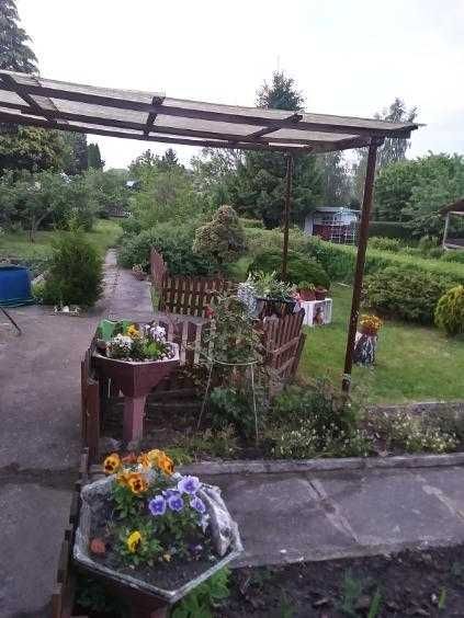 Działka rod Starogard Gdański. Zdjęcie 4