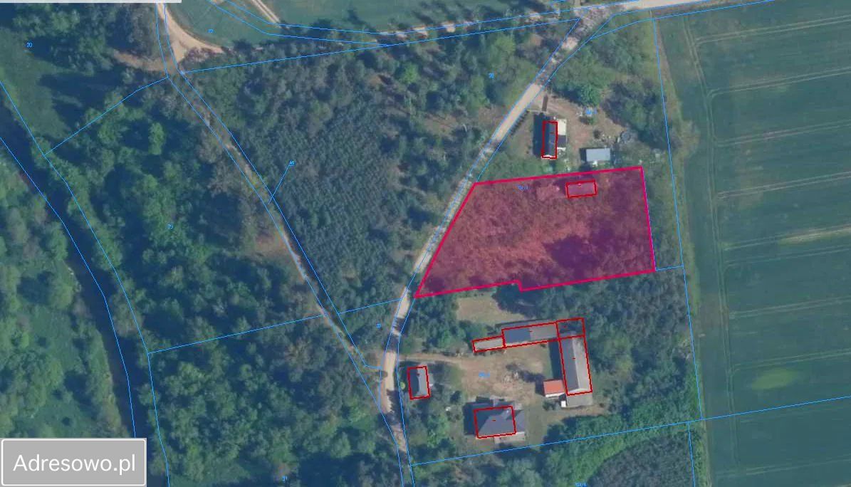 Działka rolno-budowlana Grodnia. Zdjęcie 19