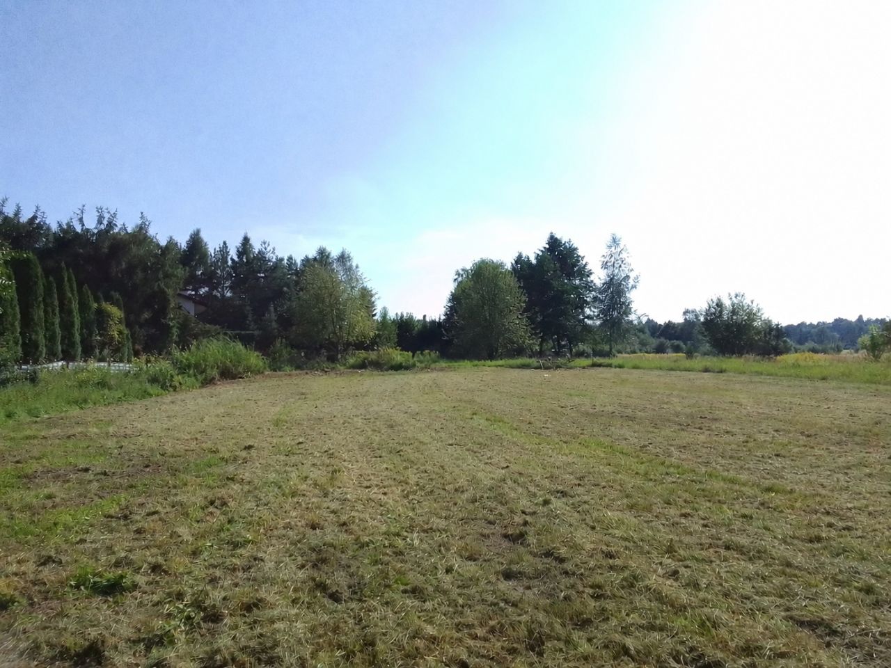 Działka rolna Wola Filipowska Pasternik, ul. Złota Dolina. Zdjęcie 3