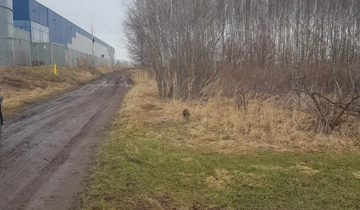 Działka inwestycyjna Żory Baranowice, ul. Familijna