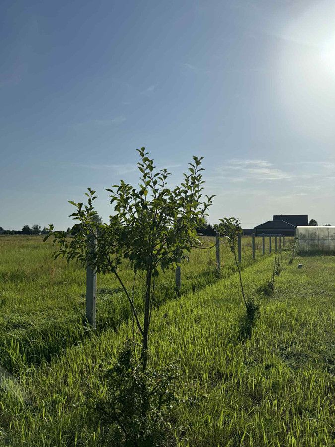 Działka rekreacyjna Golanka. Zdjęcie 20