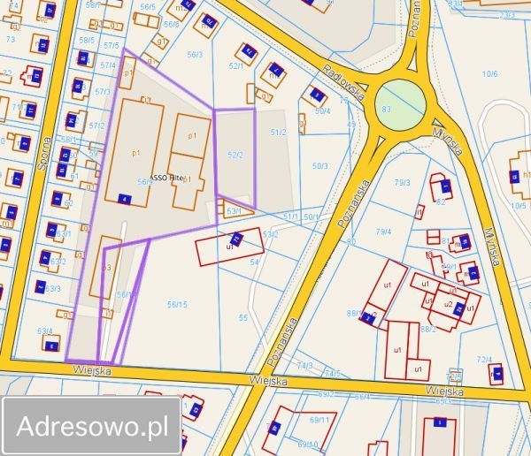 Hala/magazyn Ostrów Wielkopolski. Zdjęcie 2