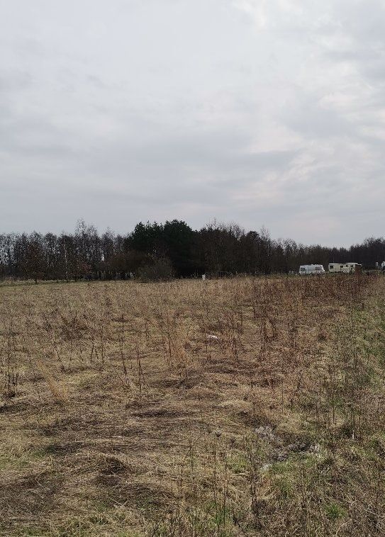 Działka rekreacyjna Grabniak. Zdjęcie 3