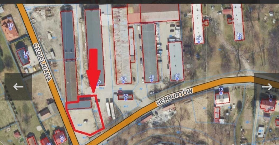 Lokal Nehrybka. Zdjęcie 2