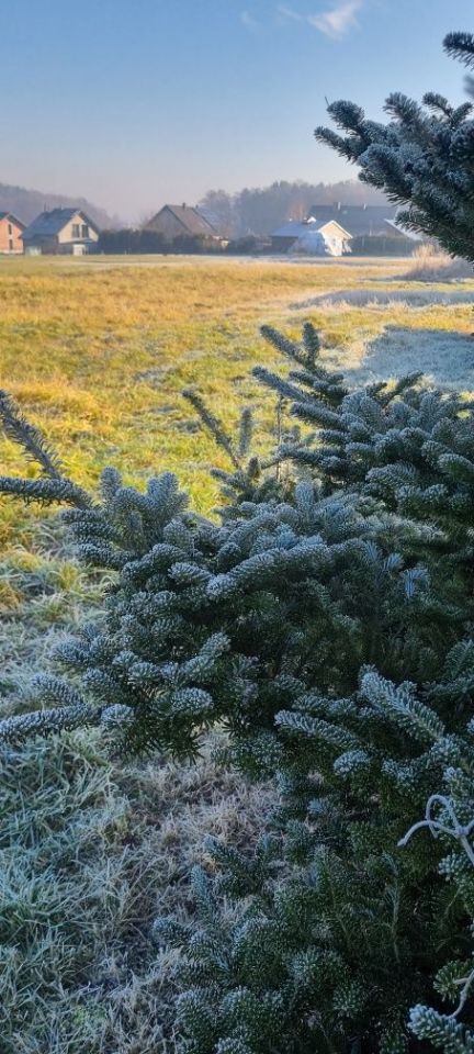 Działka budowlana Orzesze Mościska. Zdjęcie 2