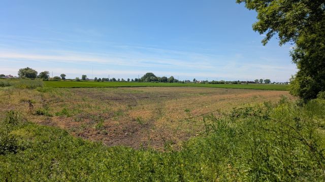 Działka budowlana Mnichowice, ul. Dębowa. Zdjęcie 1