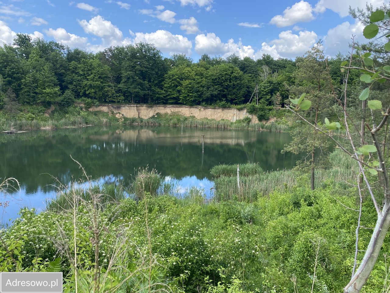 Działka inwestycyjna Lisica. Zdjęcie 6