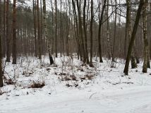 Działka budowlana Sokolniki, Lawendowa/Literacka. Zdjęcie 2