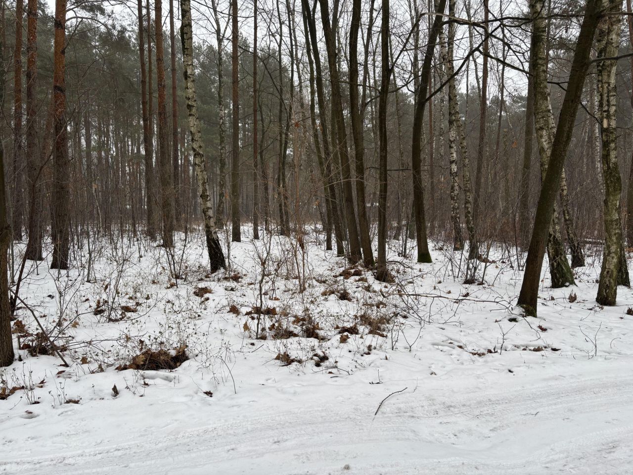 Działka inna Sokolniki. Zdjęcie 2