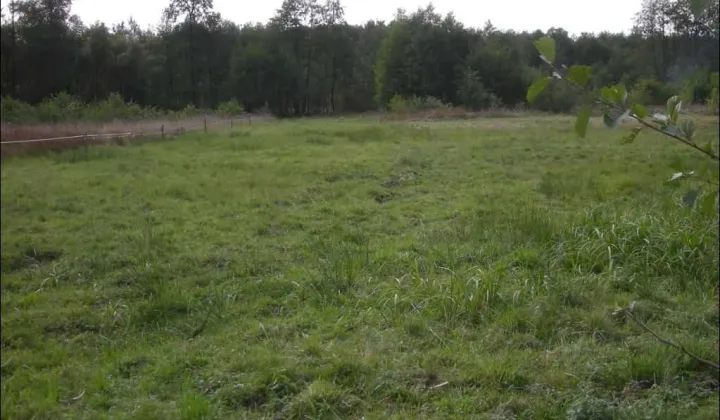 Działka rolno-budowlana Małków