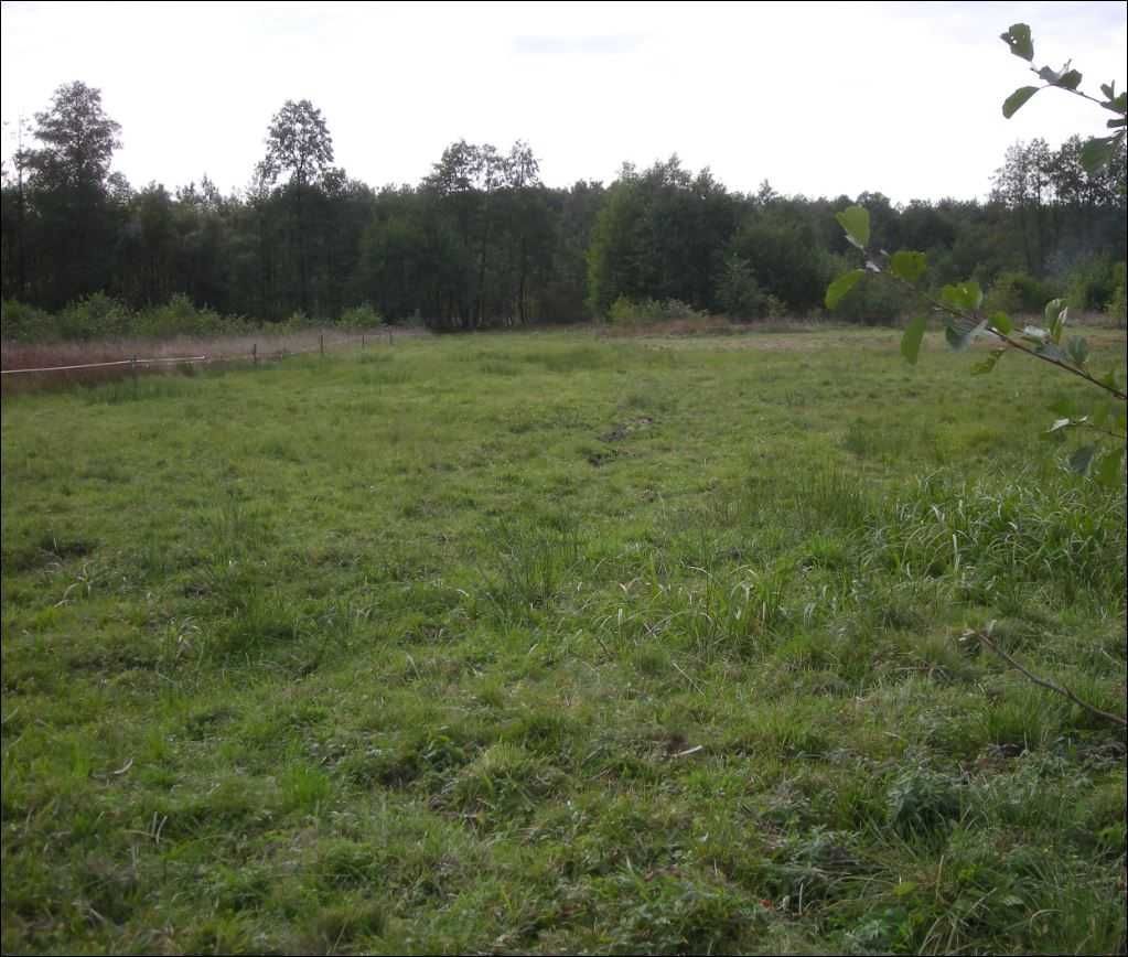 Działka rolno-budowlana Małków. Zdjęcie 1