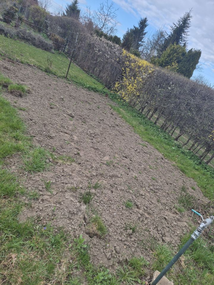 Działka rod Olsztyn, ul. Michała Kajki. Zdjęcie 8