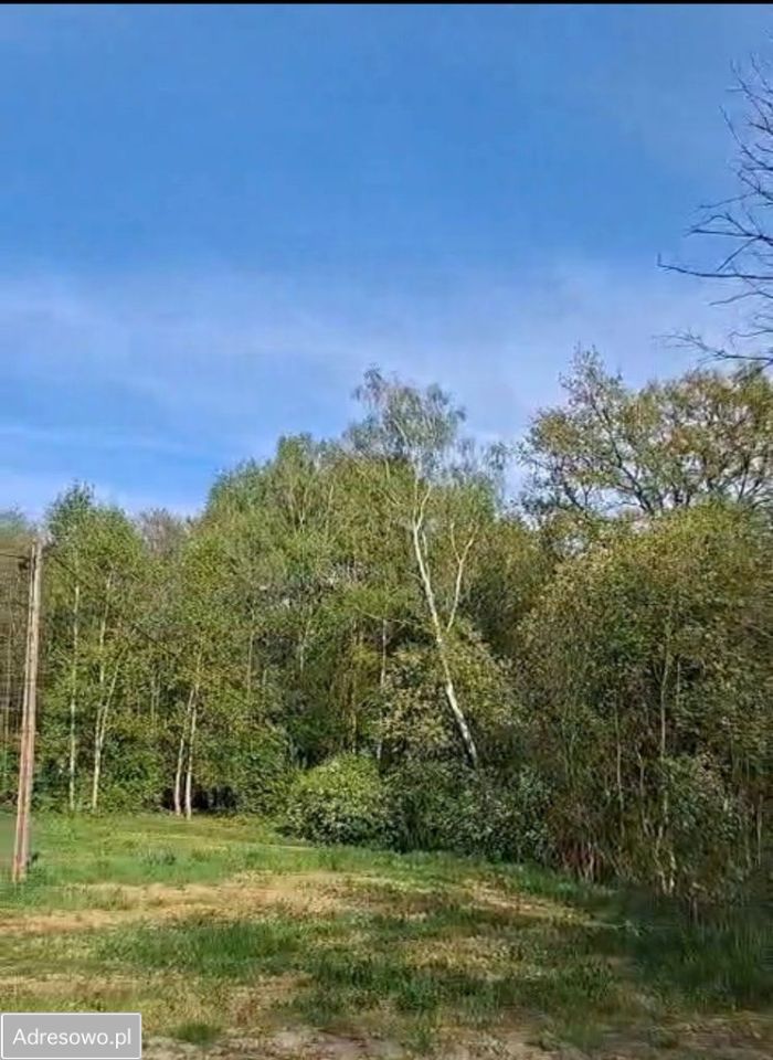 Działka Rączna. Zdjęcie 1